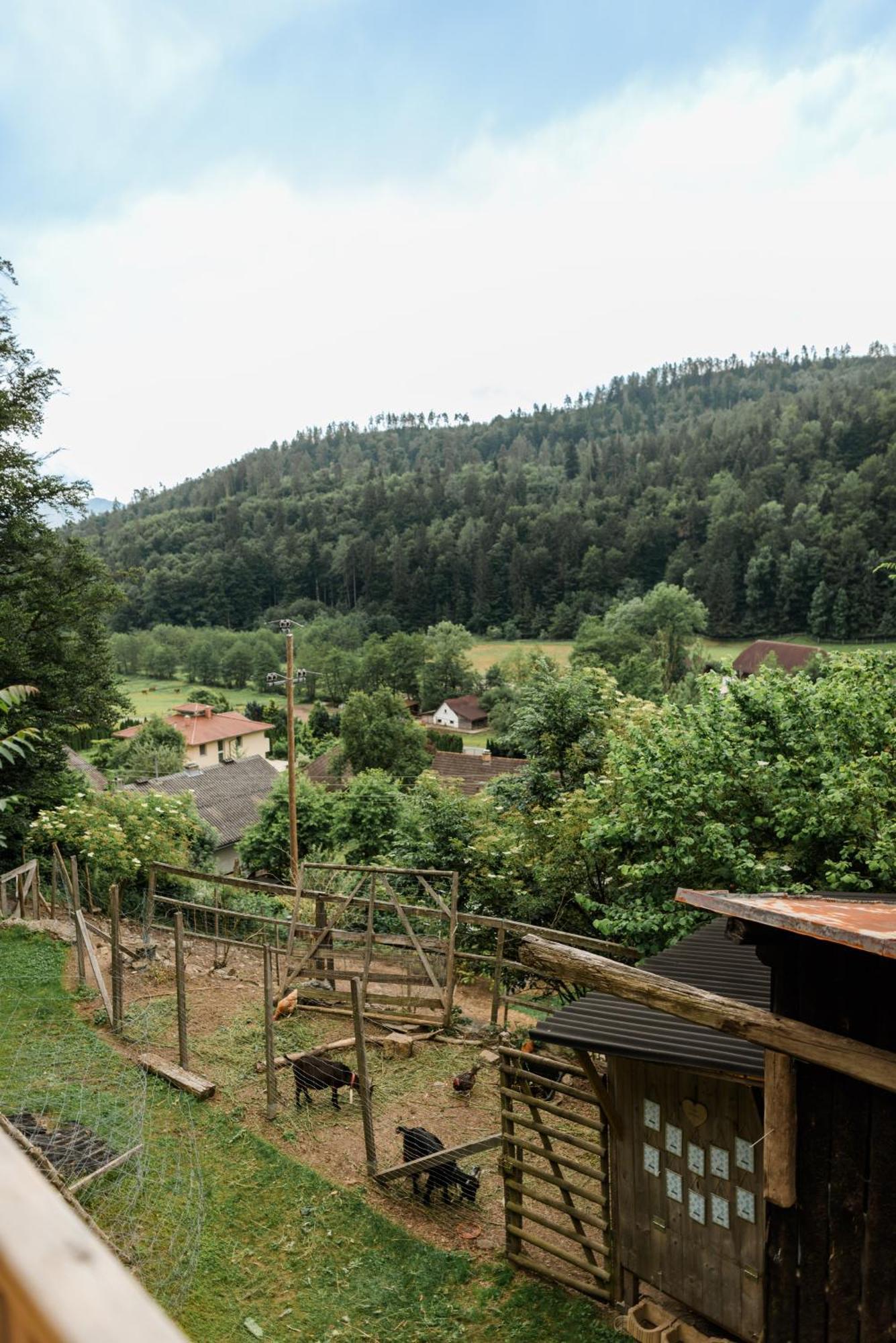 Fernblick Villa Klagenfurt am Woerthersee Dış mekan fotoğraf